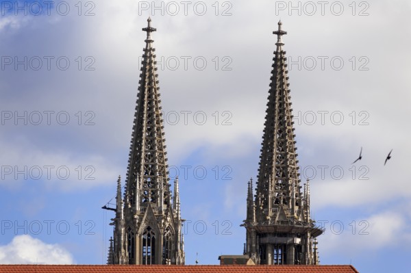 Spires, 1859-1869, from St Peter's Cathedral, Regensburg, Upper Palatinate. Bavaria, Germany, Europe