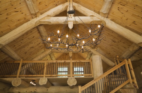 Knotty pine wood planks high cathedral ceiling with illuminated deer antlers chandelier, large bleached timber beams with tenon and mortise joints above living room inside handcrafted Eastern white pine Scandinavian log cabin home, Quebec, Canada, North America
