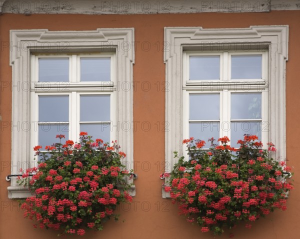 Old orange painted stucco cladded architectural style building facade with greyish white trim windows decorated with red geranium flowers in flower boxes, Schwetzingen, Germany, Europe