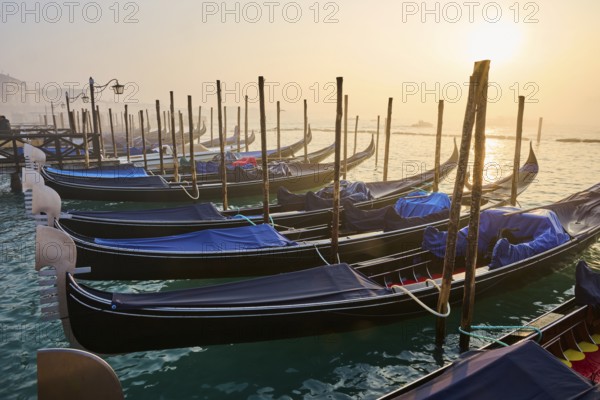 View from 'Colonna di San Marco e San Teodoro' on the gondolas lying in the water at sunrise in Venice on a foggy morning in winter, Italy, Europe