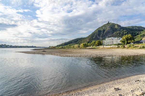 The Rhine at extremely low water, near Bad Honnef Rhöndorf, below the Drachenfels, Nonnenwerth Island, dry banks of the Rhine, North Rhine-Westphalia, Germany, Europe