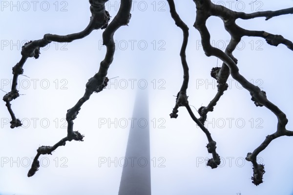Dense fog slowly lifting, winter weather, Rhine Tower in the Media Harbour in Düsseldorf, North Rhine-Westphalia, Germany, Europe