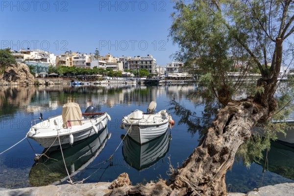 The village of Agios Nikolaos, in the eastern part of Crete, view over Lake Voulismeni, connected to the sea, old town, Greece, Europe