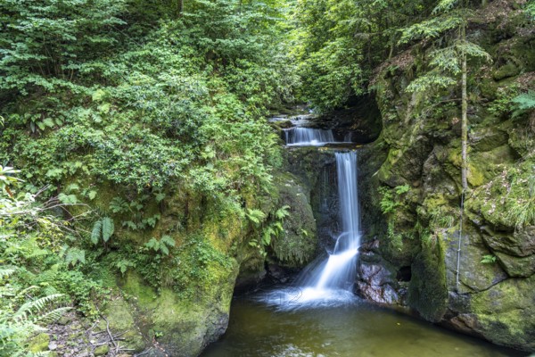The Geroldsau Waterfall, Geroldsau, Baden-Baden, Baden-Württemberg, Germany, Europe