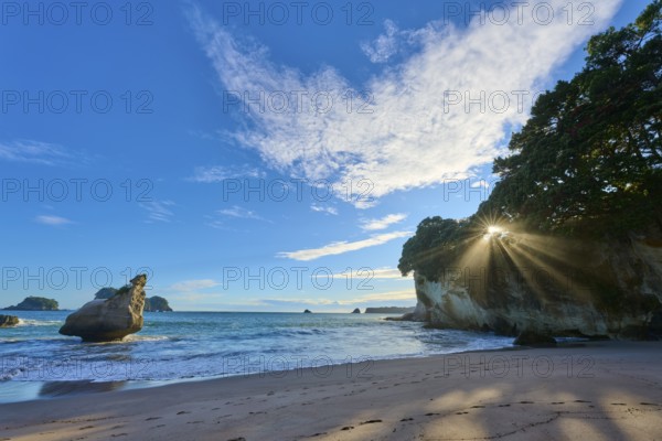 Landscape with sandy beach and bright sun behind rocks by the sea, Cathedral Cove, Coromandel, Canterbury, North Island, New Zealand, Oceania