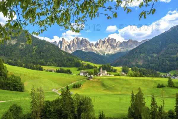 Framing the iconic santa maddalena church, green meadows and trees highlight the breathtaking summer scene in val di funes, with the majestic odle mountain range in the background