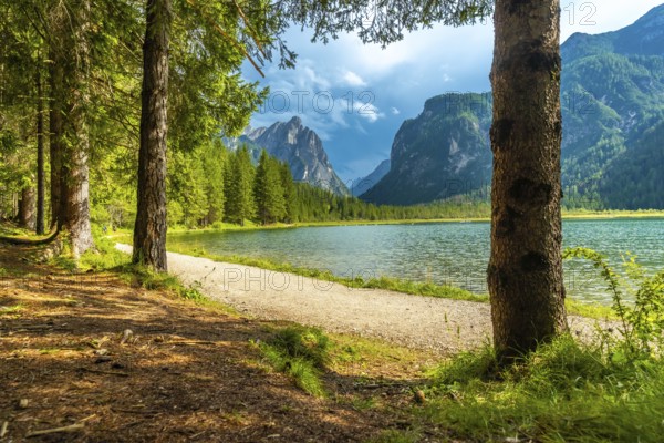 Breathtaking summer view of lake dobbiaco, nestled amidst the majestic dolomites, with a tranquil forest framing the serene landscape