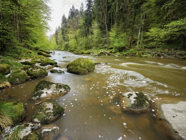 Moss-covered stones on the river Sihl, Sihlsprung, Menzingen, Canton Zug, Switzerland, Europe