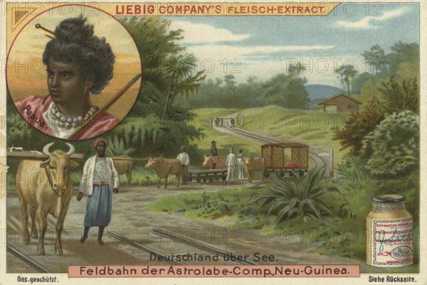 Picture series German overseas colonies, field railway of the Astrolabe Company in New Guinea, Liebig picture, digitally restored reproduction of a collector's picture from ca 1900, public domain, exact date unknown, scene with people and cattle in New Guinea in front of a bridge in tropical landscape