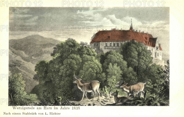 Historical postcard, picture postcard, Wernigerode, Saxony-Anhalt, Germany, digitally enhanced reproduction of an original from around 1900, picture postcard, Europe