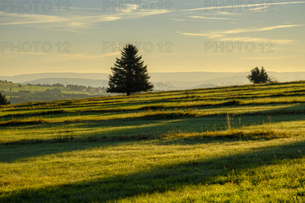 View from the Heidelstein, Schwabenhimmel, UNESCO Biosphere Reserve, near Hausen, Rhön, Bavarian Rhön, Rhön, Lower Franconia, Bavaria, Germany, Europe