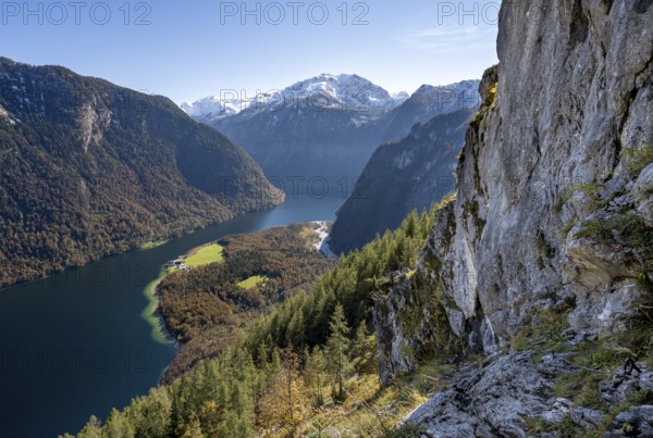 View of the Königssee from the Rinnkendlsteig mountain hiking trail, autumnal forest and snow-covered mountains, Berchtesgaden National Park, Berchtesgadener Land, Upper Bavaria, Bavaria, Germany, Europe