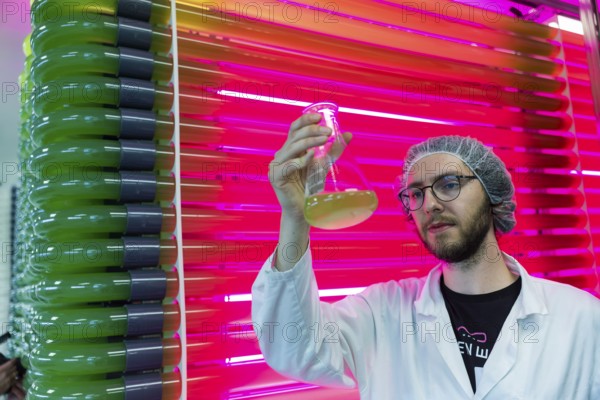 PUEVIT GmbH produces the most efficient photobioreactors for the cultivation of microalgae. The aim is to revolutionise the supply of raw materials through microalgae production. Innovative technological solutions have been developed for the growth and harvesting of spirulina, chlorella and other microalgae, for example, which enable unique efficiency, unprecedented simplicity and maximum stability in what is probably the most compact tube system on the market. Raw, unprocessed spirulina is produced as a fresh, regional food under the ALGENWERK brand. The algae grow in our own facilities and are harvested and freshly packaged directly without any further processing. Leander Seibel in the Spirolina production, commissioning of the full production of the algae plant of the company Puevit, Dresden, Saxony, Germany, Europe