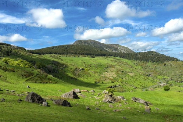 Lush Green Landscape of Mont Mezenc in in the Monts d'Ardeche Regional Natural Park, Auvergne-Rhone-Alpes, France, Europe