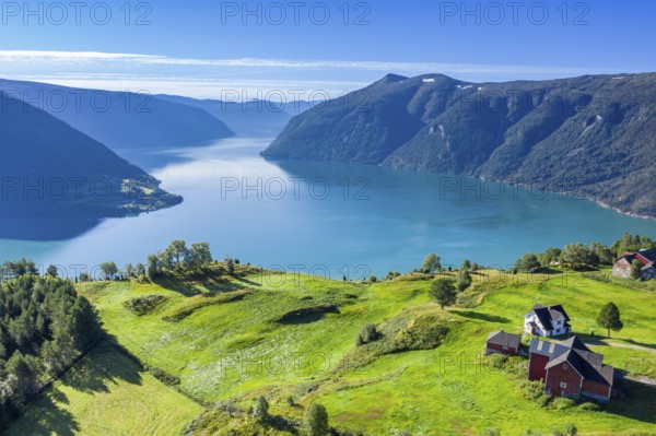 Aerial view of meadows and farms above the Lustrafjord, the inner Sognefjord, Norway, Europe