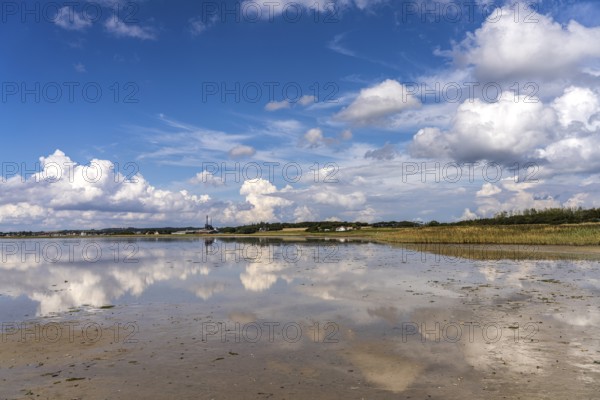 Limfjord coast on the Salling peninsula, Denmark, Europe