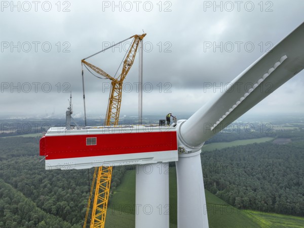 Dorsten, North Rhine-Westphalia, Germany, construction of a wind turbine. A large mobile crane lifts a rotor blade to the nacelle on the tower. Here, the blade is mounted directly on the motor hub. Große Heide wind farm, Europe