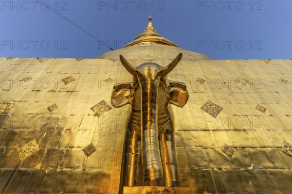 Elephant at the foot of the Golden Chedi Phrathatluang in the temple Wat Phra Singh, Chiang Mai, Thailand, Asia