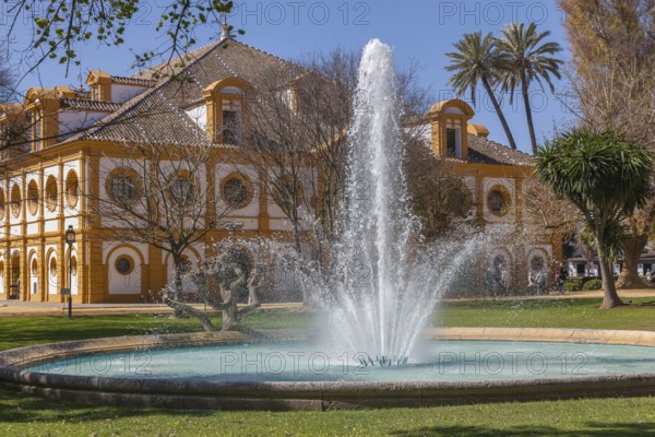 Royal Andalusian Riding School, Jerez de la Frontera, Andalusia, Spain, Europe