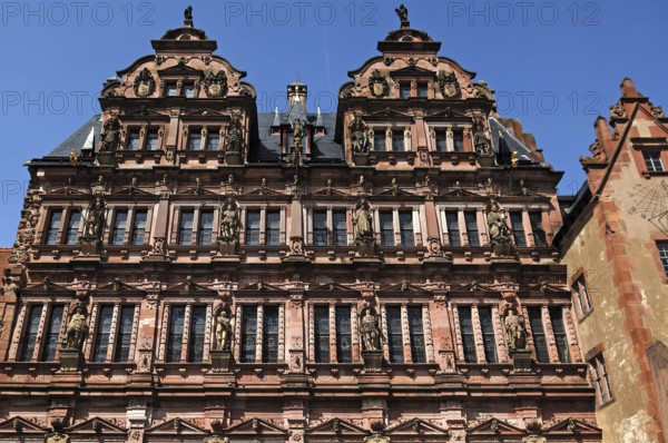 View from the inner courtyard of the façade of the Friedrich Building, built between 1601 and 1607, the statues are ancestors of the electors) of the Heidelberg castle ruins, destroyed in 1689) Castle courtyard, Heidelberg, Baden-Württemberg, Germany, Europe