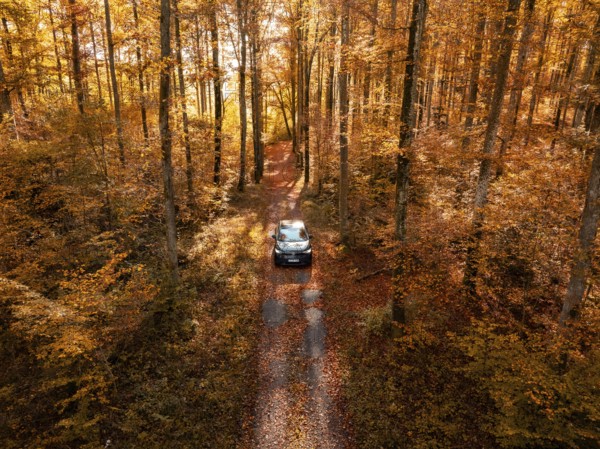 Car driving through an autumnal forest with golden yellow leaves and sunlight, electric car, VW ID5, Gechingen, Black Forest, Germany, Europe