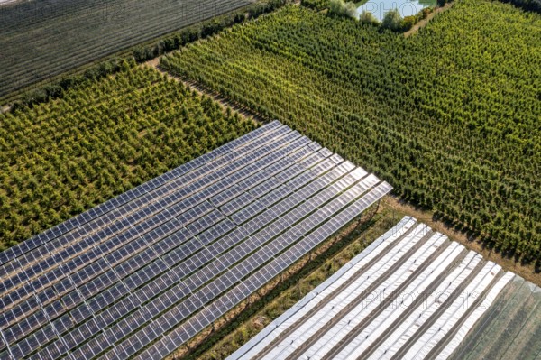 Agri-photovoltaic test plant, an apple orchard with two different systems of PV modules was roofed over 3000 square metres, rain and sunlight comes through, at the same time protection against hail and heavy rain, next to it are the same trees but without a solar roof, as a comparison object, how the PV roof affects the trees and harvest, the field test is accompanied by the Fraunhofer Institute for Solar Energy Systems ISE, in Grafschaft-Gelsdorf, Rhineland-Palatinate, Germany, Europe