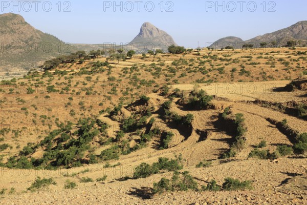 Landscape in the Adua Mountains, Adwa Mountains, the battlefield of the Italians in Ethiopia, Ethiopia, Africa