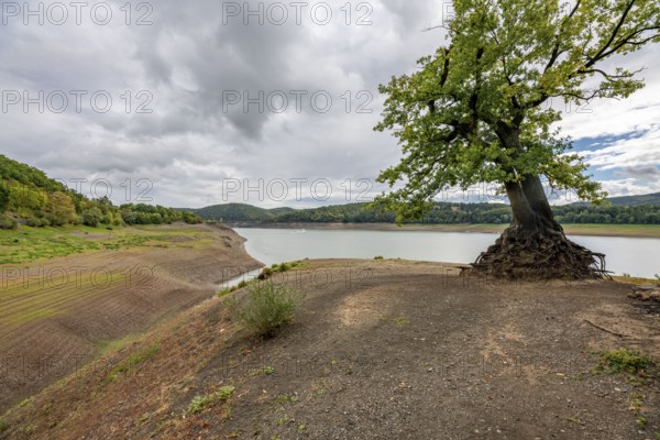 Lake Edersee, near Waldeck, the third largest reservoir in Germany, is currently at just under 13% of its normal level, the lake was last full in May 2022, dried out due to lack of rain, the water level is a good 25 metres below the normal level, Hesse, Germany, Europe