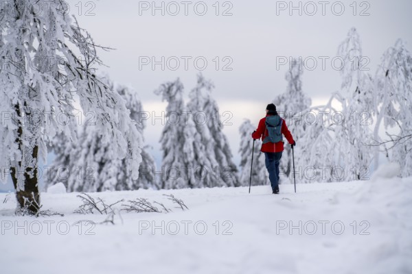 Winter in Sauerland, Hochsauerlandkreis, at Kahler Asten, near Winterberg, few tourists, visitors, during the lockdown in January 2021, North Rhine-Westphalia, Germany, Europe