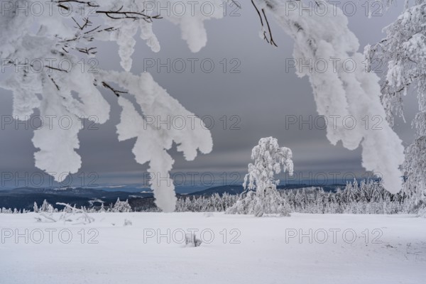 Winter in Sauerland, Hochsauerlandkreis, at Kahler Asten, near Winterberg, few tourists, visitors, during the lockdown in January 2021, North Rhine-Westphalia, Germany, Europe