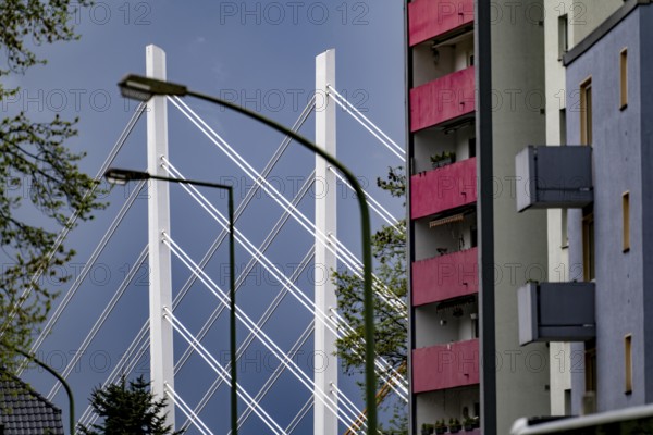 The new Rhine bridge Neuenkamp, the A40, white pillar ropes, and the old motorway bridge, which is being dismantled, residential building in the Neuenkamp district, Duisburg, North Rhine-Westphalia, Germany, Europe