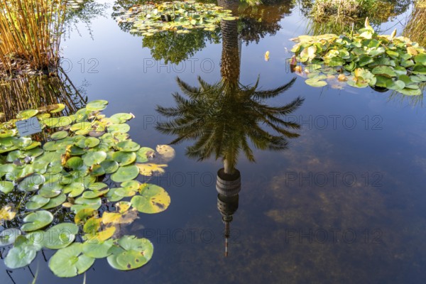 Westfalenpark, with 70 hectares, one of the largest inner-city parks in Europe, water plant basin, Florianturm, 219 metre high viewing and television tower, Dortmund North Rhine-Westphalia, Germany, Europe