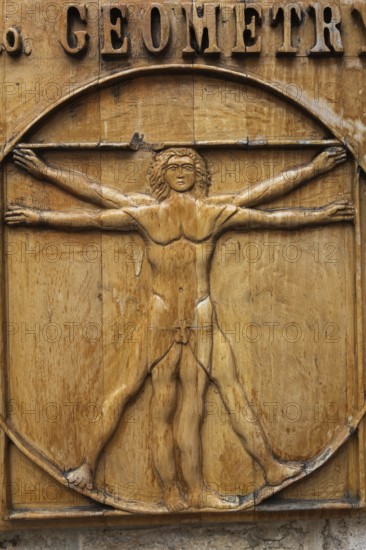Close-up of Vitruvian man drawing by Leonardo da Vinci carved on a wooden plaque, Old Town of Kotor, Montenegro, Europe