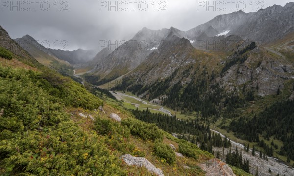 Green mountain valley with river and steep mountain peaks, Chong Kyzyl Suu Valley, Terskey Ala Too, Tien-Shan Mountains, Kyrgyzstan, Asia
