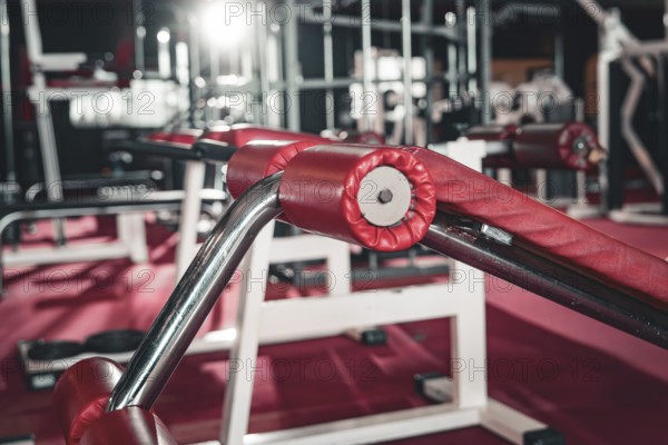 Picture of a modern fitness studio with various training equipment in red and steel, historic fitness studio, Bulls Fit, Mannheim, Germany, Europe