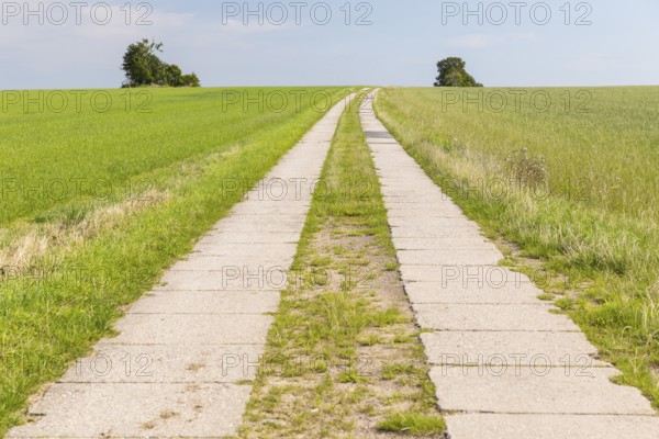 Field path and wide sky, district of Central Saxony, Saxony, Germany, Europe