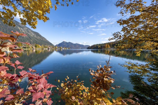 View over the lake to the village Walchensee, Walchensee with Jochberg, lake with reflection, yellow and red autumn leaves, Upper Bavaria, Bavaria, Germany, Europe