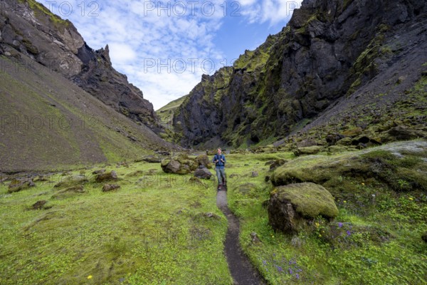 Hiking trail through a green moss-covered gorge, enchanted volcanic landscape, Pakgil, Iceland, Europe