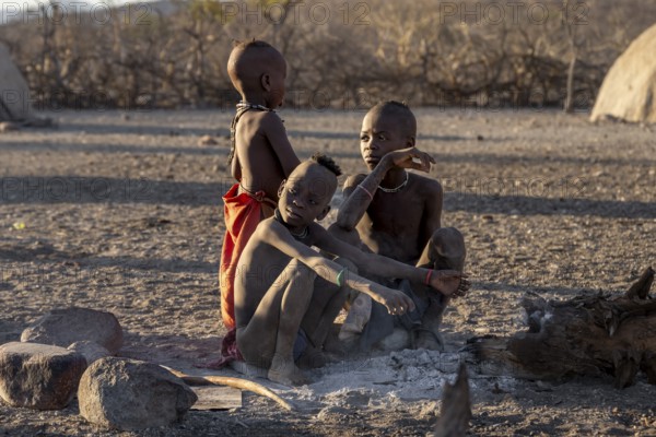 Himba children sitting by the fire, in the morning light, traditional Himba village, Kaokoveld, Kunene, Namibia, Africa