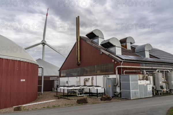 Biogas plant produces gas from various biomass, electricity is generated in combined heat and power plants with the biogas produced and sold to companies in the neighbouring industrial estate, the heat generated is fed into a local heating network, gas storage and wind power plant, Ense, North Rhine-Westphalia, Germany, Europe