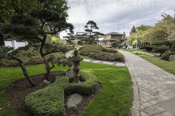 Japanese Garden, Bad Langensalza, Thuringia, Germany, Europe