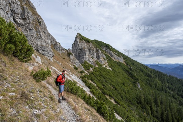 Hiker on the Schinder, Tegernsee mountains in the Mangfall mountains, Germany, Europe