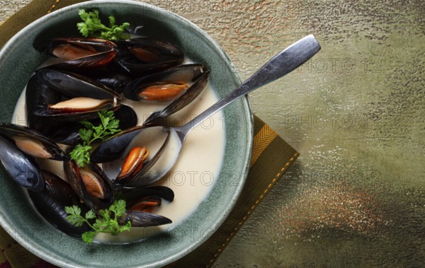 Mussels in shells, in creamy garlic sauce, mussels in bechamel sauce, homemade, no people