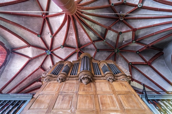 Church organ and star vault in the interior of the Catholic parish church of St Martin in the Ediger district, Ediger-Eller, Rhineland-Palatinate, Germany, Europe