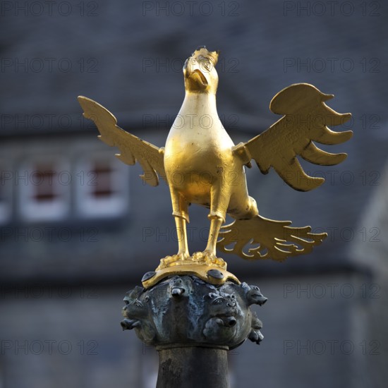Gilded imperial eagle as a fountain eagle on the market fountain, Old Town, Goslar, UNESCO World Heritage Site, Lower Saxony, Germany, Europe