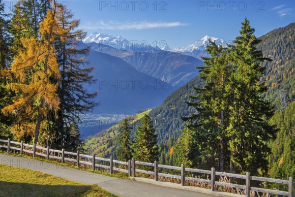 Autumn landscape above the Rhone valley with panorama of Dom 4545m, Matterhorn 4478m and Weisshorn 4505m, Riederalp, Goms, Rhone valley, Upper Valais, Valais, Switzerland, Europe