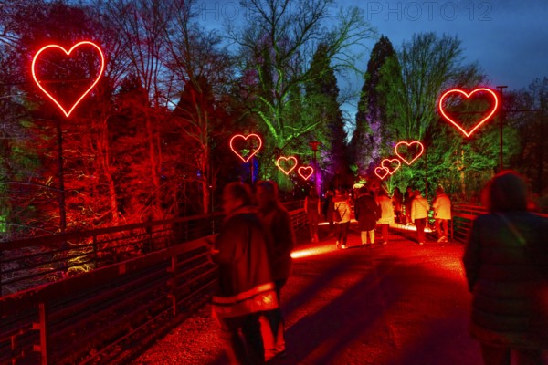 Parkleuchten, event in winter, in the Grugapark in Essen, many different light installations, across the park, attract many thousands of visitors, North Rhine-Westphalia, Germany, Europe