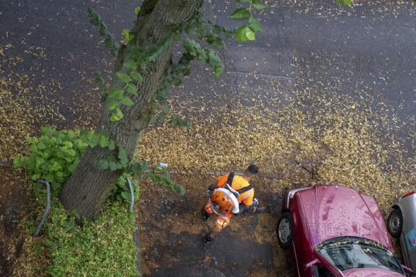 Street cleaning, an employee of the municipal city cleaning service, cleans pavements and parking bays, with a leaf blower, in summer, from tree blossoms, Essen, North Rhine-Westphalia, Germany, Europe