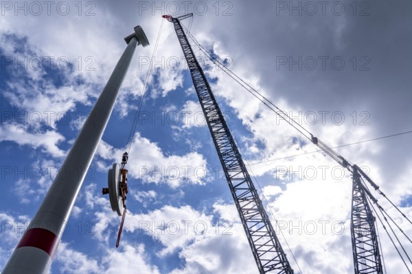 Erection of a wind turbine, wind energy plant, assembly of the ring generator, with a crawler lattice crane, wind farm near Hagen, North Rhine-Westphalia, Germany, Europe