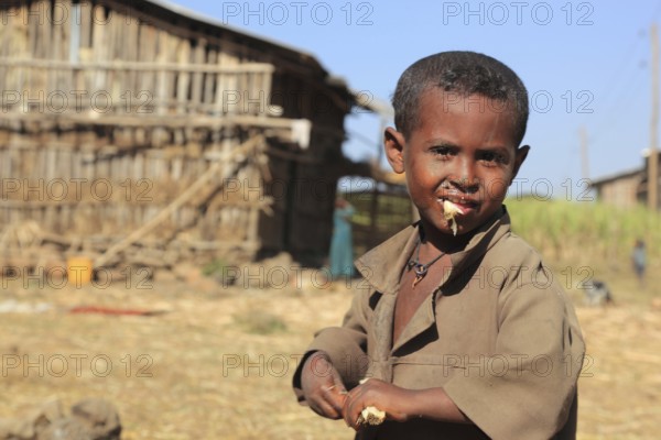 Amhara region, boy on a small farm chewing, eating sugar cane, Ethiopia, Africa